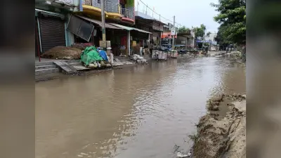 Relief to farmers from rain बारिश से किसानों को राहत, जलजमाव बना मुसीबत
