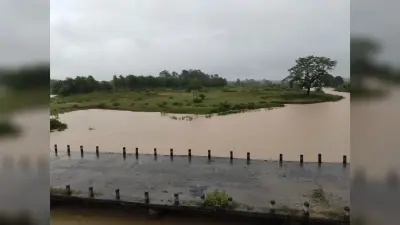 इचाक में टमाटर और आलू की फसल खराब, कई कच्चे घर गिरे