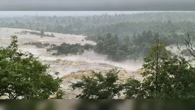 Giridih News. कहीं गिरा घर, तो कहीं गिरे पेड़, जल जमाव से हो रही परेशान