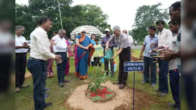 चिरेका में स्वच्छता ही सेवा के तहत किया गया पौधरोपण