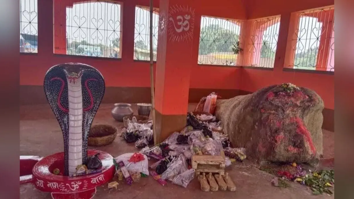 नाग देवता की धूमधाम से हुई वार्षिकी पूजा