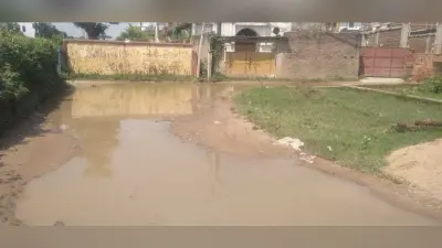 मुहल्लों में जगह-जगह जलजमाव, पनप रहे मच्छर के लार्वा