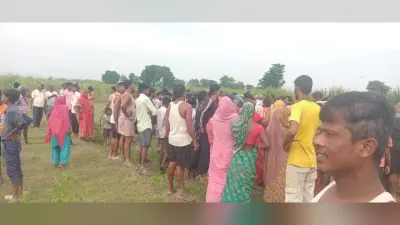 दूसरे दिन बाघ ने नीलगाय को मारा, इलाके में दहशत का माहौल