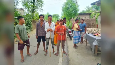 बाघ ने सात और बकरियों को मारकर खाया, ग्रामीणों में खौफ