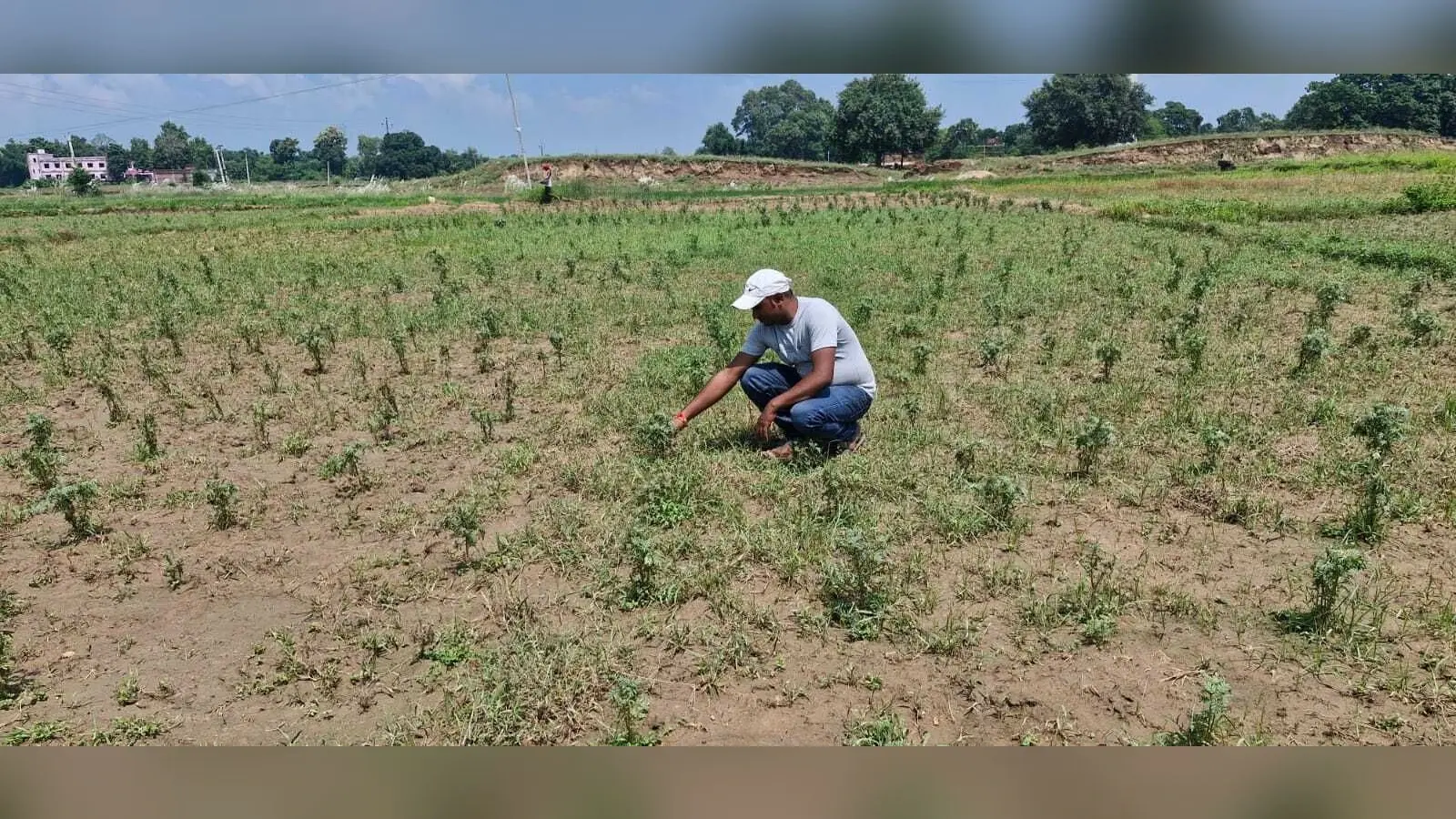 Aurangabad News : लगातार बारिश होने व इलाके में बाढ़ से किसानों को नुकसान