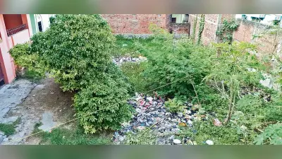 निगम में एग्रीमेंट के अनुरूप सफाई एजेंसियां नहीं कर रहीं काम