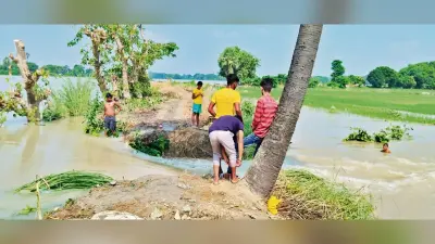 Chhapra News : मांझी में रिंग बांध टूटा, गांव में घुसा बाढ़ का पानी