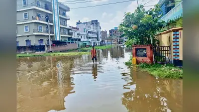 Chhapra News : जलजमाव पर ग्रीन ट्रिब्यूनल कोर्ट ने दिखायी सख्ती, छह सप्ताह में कार्रवाई की रिपोर्ट मांगी
