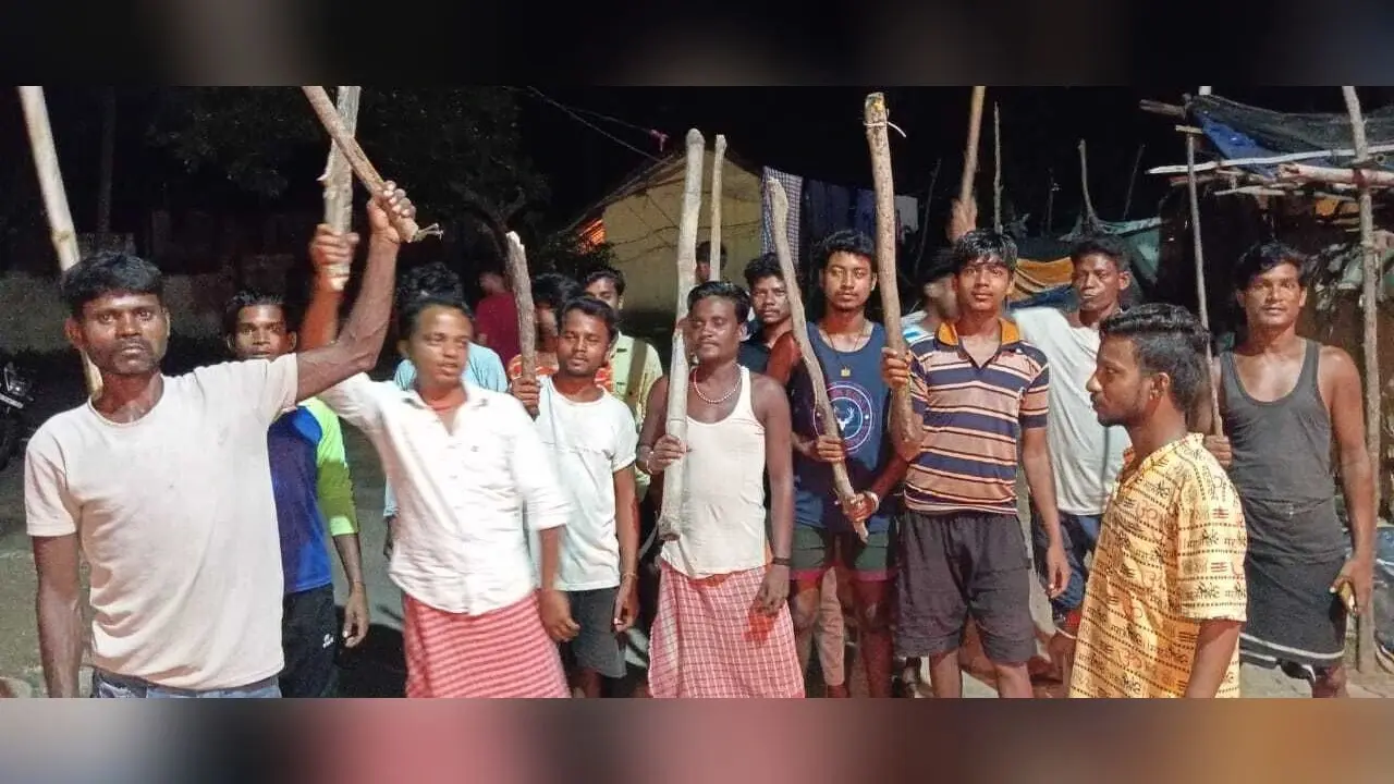Dhanbad News: वन विभाग की टीम नहीं पकड़ पायी सियार को