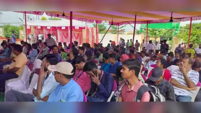 रोजगार मेला में 73 युवा नौकरी के लिए चयनित, 98 शॉर्टलिस्टेड
