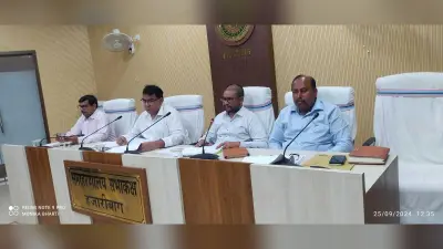 सरकार आपके द्वार से संबंधित लंबित मामले का जल्द समाधान करें सीओ