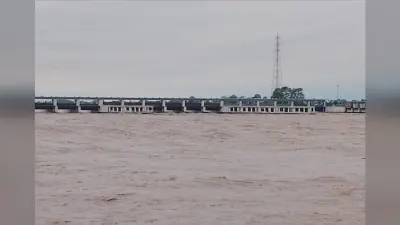 हो रही झमाझम बारिश से गंडक बराज के जलस्तर में एक बार फिर वृद्धि जारी