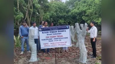 Restoration of unproductive gardens: अनुत्पादक बागों में जीर्णोद्धार तकनीक का परीक्षण करने की जरूरत : वैज्ञानिक