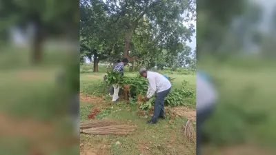 पबिया डायट परिसर में चला सफाई अभियान