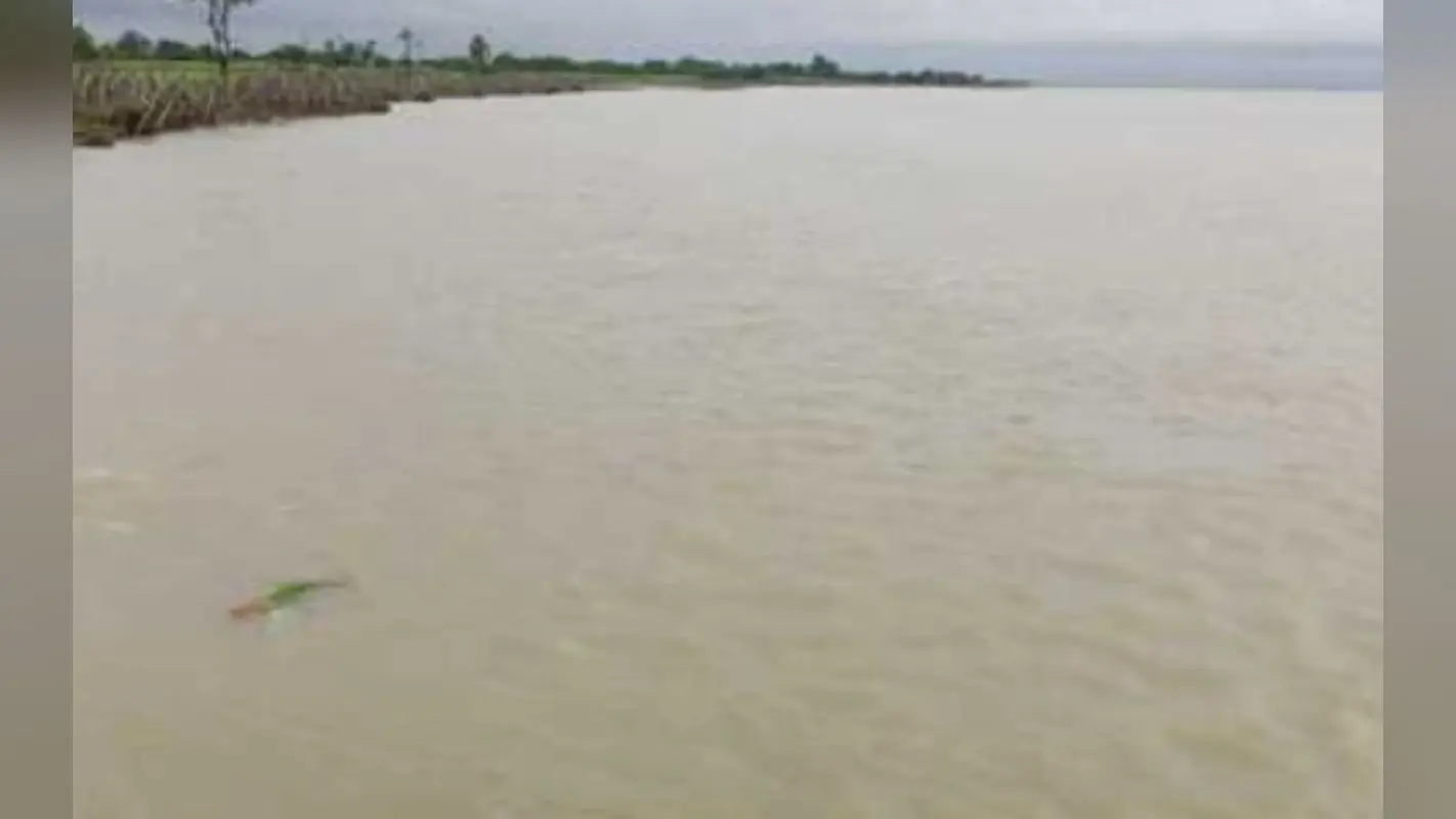 Flood Alert: नेपाल में भारी बारिश से गंडक नदी में उफान, हाइअलर्ट, निचले इलाके को खाली कराने का आदेश