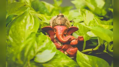 Ganesh Chaturthi 2024: गणेश चतुर्थी पर बनाएं मोतीचूर के लड्डू, जानें रेसिपी