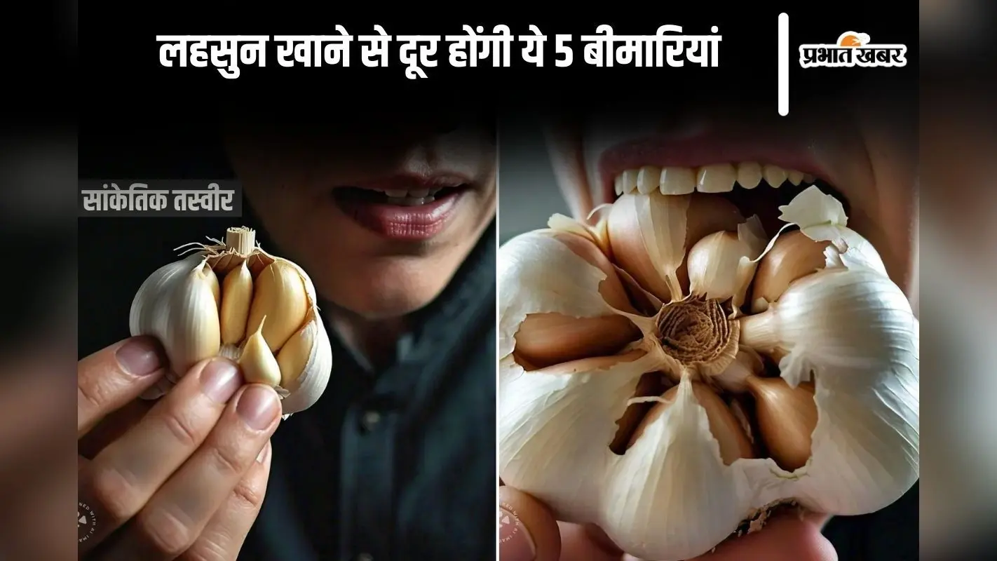 Daily Garlic Eating Benefits: लहसुन खाने से दूर होती हैं ये 5 बीमारियां