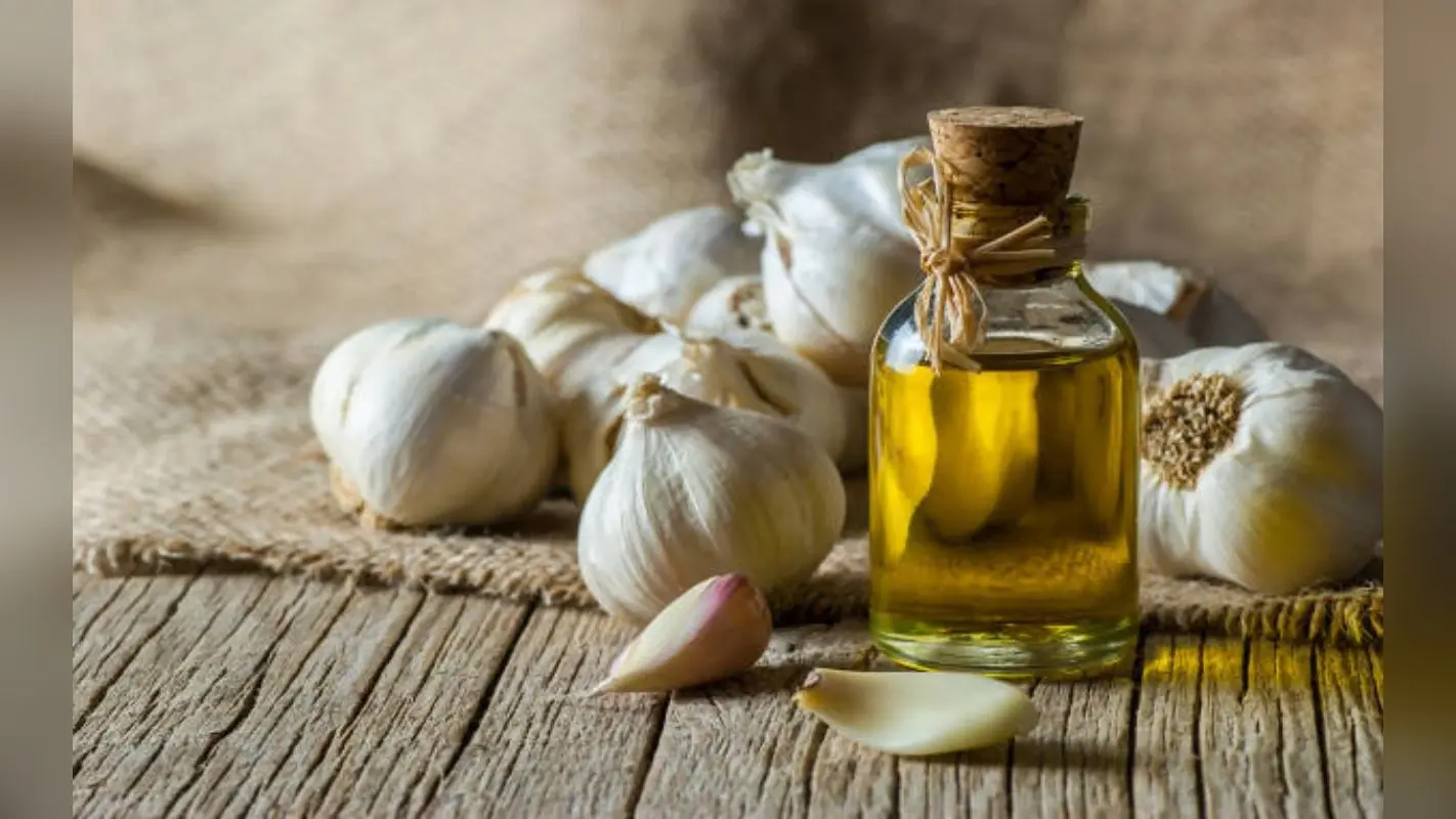 Hair Care Tips: बेजान और झड़ते बालों में नयी जान डाल देगा लहसुन का तेल, जानें घर पर तैयार करने का तरीका