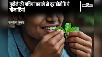 Pudina Ke Fayde: पुदीने की पत्तियां चबाकर खाने से कभी नहीं होंगी ये 5 बीमारियां