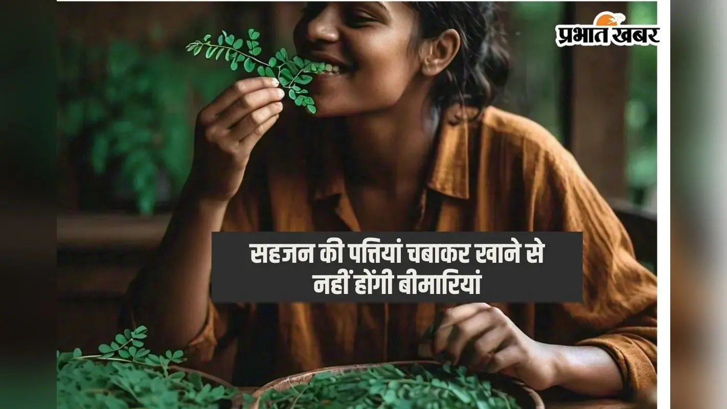 Sahjan Ki Patti Ke Fayde: सहजन की पत्तियां चबाकर खाने के ये हैं 5 सबसे बड़े फायदे