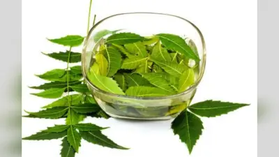 Benefits of Neem Leaves:रोज सुबह आदत डाल लें बस 2 पत्ती नीम की चबाने की, बुढ़ापे में भी लगेंगे जवान