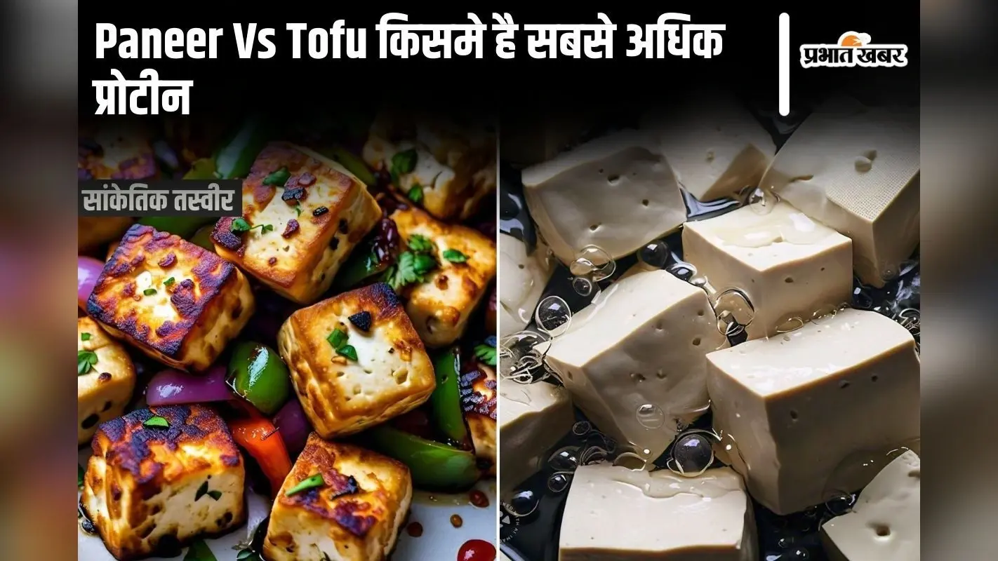 Paneer Vs Tofu:पनीर और टोफू किसमें सबसे अधिक प्रोटीन होता है?