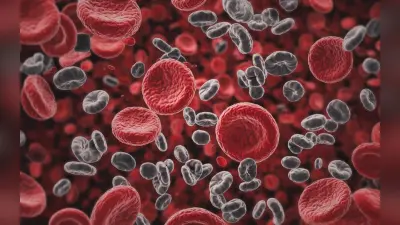 Platelets Count : क्यों हो रहा है प्लेटलेट्स काउन्ट कम, क्या होते हैं इसके लक्षण?