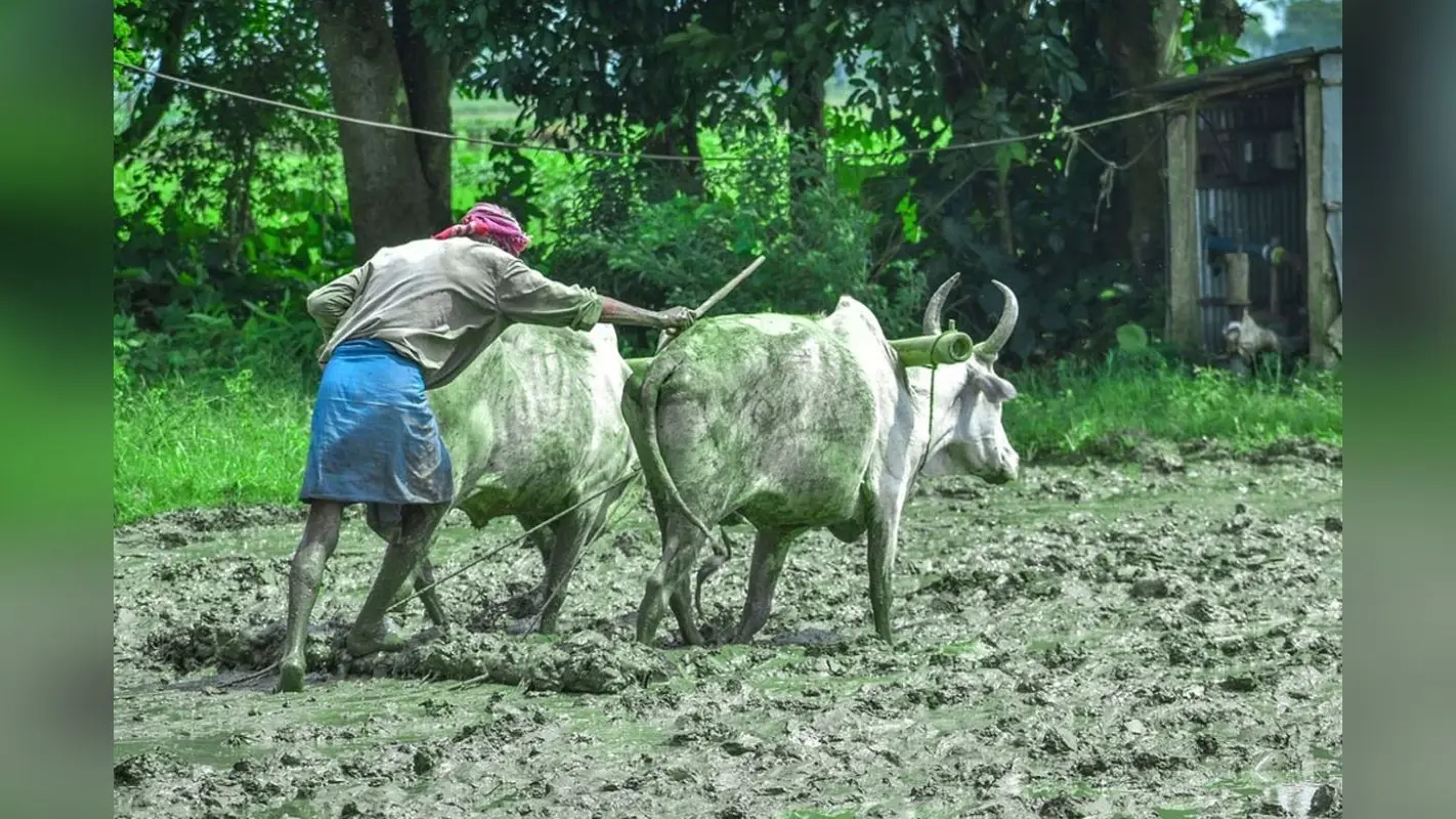 PM Kisan: नवरात्रि में किसानों को मिलेगा बड़ा तोहफा, जानें किस दिन खाते में आएगा किसान सम्मान का पैसा