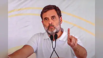 Haryana Election: ‘क्या आपने अंबानी की शादी में राहुल गांधी को देखा’, सोनीपत में गरजे राहुल, केंद्र पर जोरदार हमला