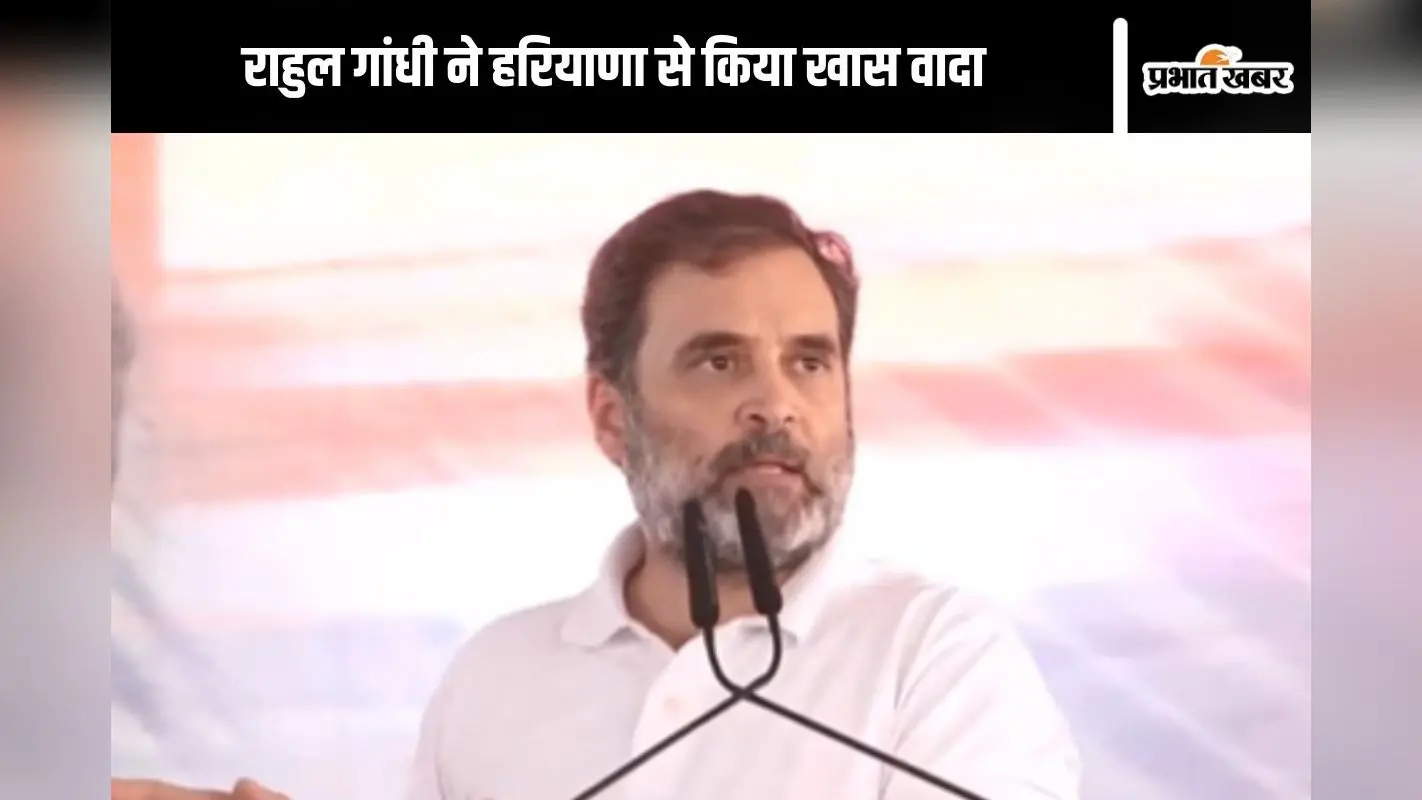 Haryana Elections 2024: एलपीजी सिलेंडर 500 रुपये में, महिलाओं के खाते में हर महीने 2000, राहुल गांधी का वादा