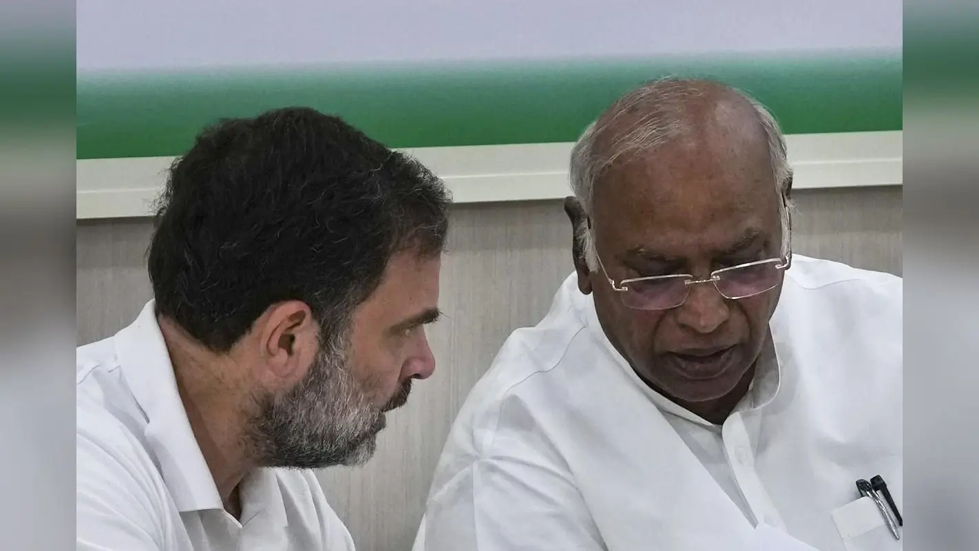 Haryana Politics: विनेश फोगाट को टिकट दे सकती है कांग्रेस, आप से गठबंधन के मूड में राहुल गांधी