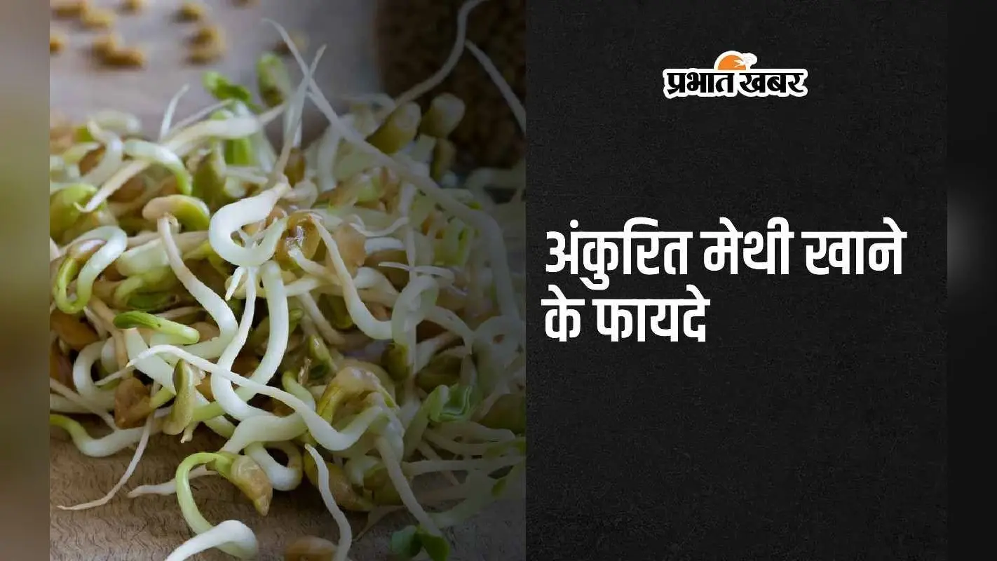 Sprouted Fenugreek Benefits: अंकुरित मेथी खाने के 5 अद्भुत फायदे जान रह जाएंगे दंग