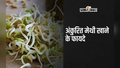 Sprouted Fenugreek Benefits: अंकुरित मेथी खाने के 5 अद्भुत फायदे जान रह जाएंगे दंग