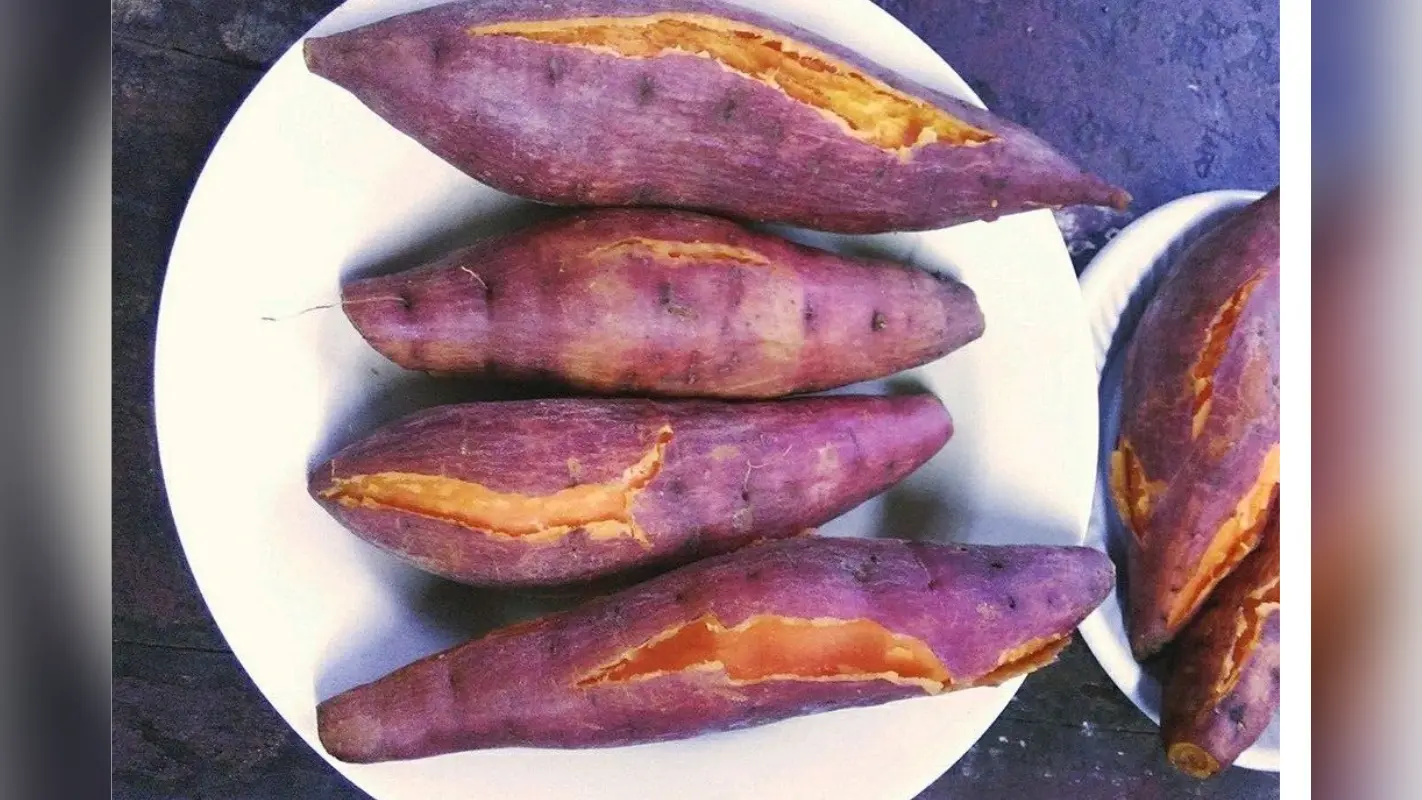 Sweet Potato Dishes For Fasting:व्रत में खाया जाता है शकरकंद, इससे आप बना सकती है कई पकवान