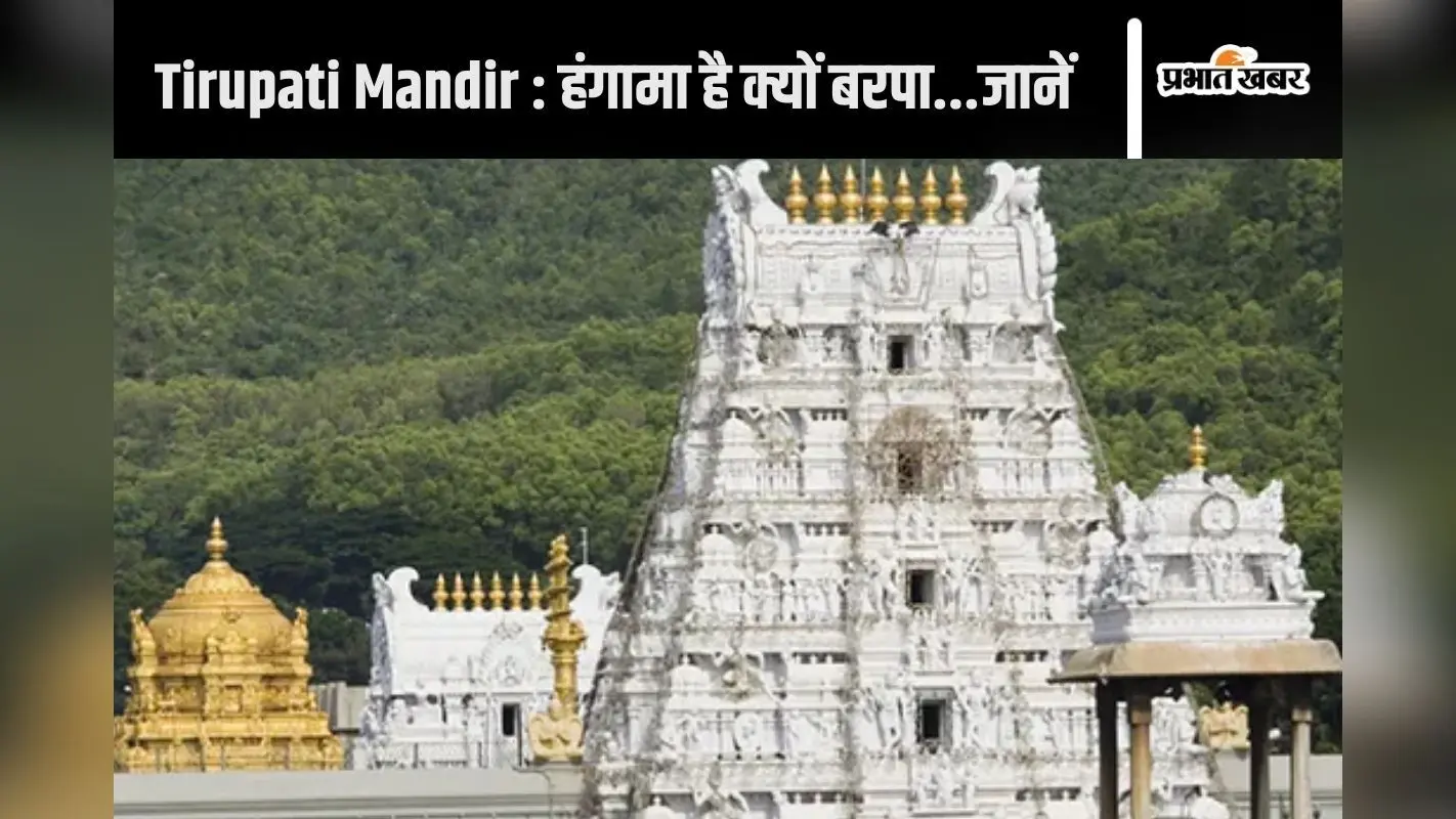 Tirupati Mandir : लड्डू पर क्यों छिड़ा संग्राम? ‘पशु चर्बी’ पर भिड़े टीडीपी व वाईएसआरसीपी, बीच में कूदी कांग्रेस