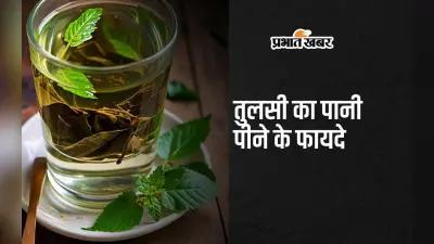Tulsi Water Benefits: तुलसी की पत्तियों का पानी पीने से दूर होती हैं बीमारियां, मिलते हैं 5 अद्भुत फायदे