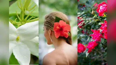 Hair Health: पौधे जो आपके बालों को देंगे नई जिंदगी