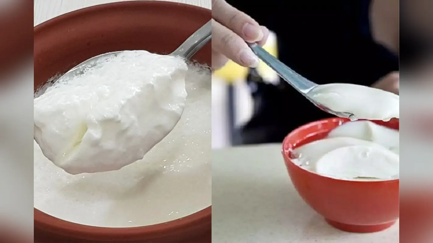 Curd Tradition: काम या यात्रा से पहले दही खिलाने की परंपरा के पीछे का क्या हैं रहस्य