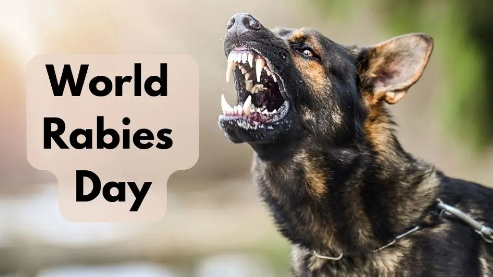 World Rabies Day 2024: कब और क्यों मनाया जाता है इस दिन को, जानें हर सवाल का जबाब