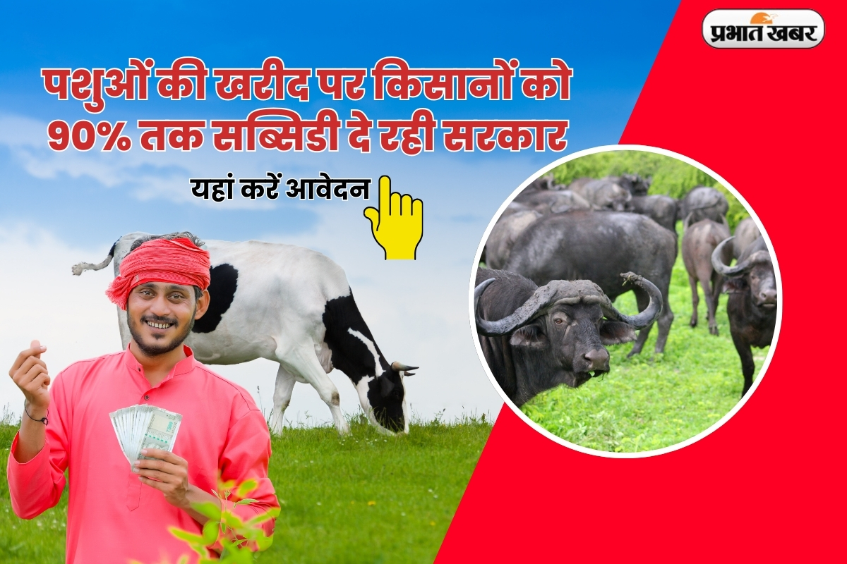 Loan: पशुओं की खरीद पर किसानों को 90%तक सब्सिडी दे रही सरकार, जानें कितना देना होगा किस्त