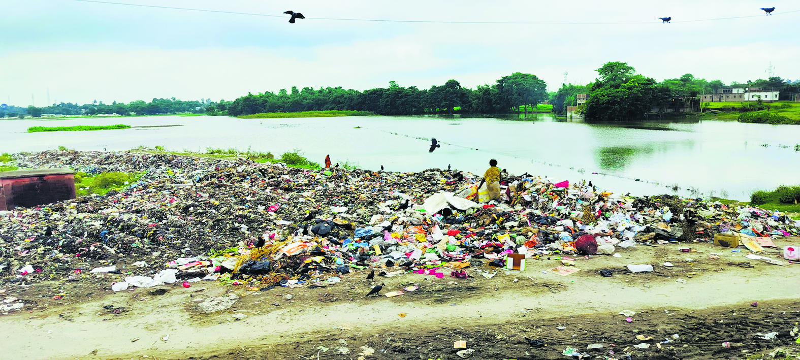 Madhepura News : नदी किनारे फेंका जा रहा नगर परिषद का कचरा