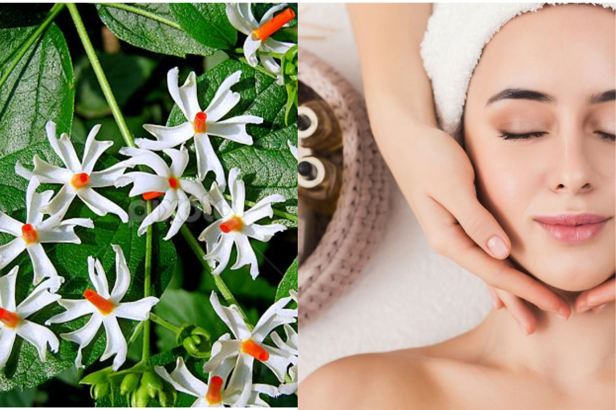 Harsingar Flower Face Mask: चेहरे की रंगत बढ़ाएगा हरसिंगार फूल से बना फेस मास्क, खूबसूरती का प्राकृतिक नुस्खा