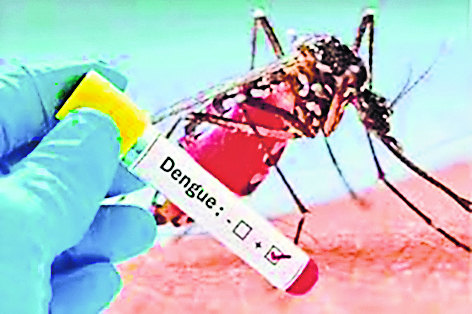 डेंगू से अथमलगोला की महिला की मौत, 23 नये मरीज मिले