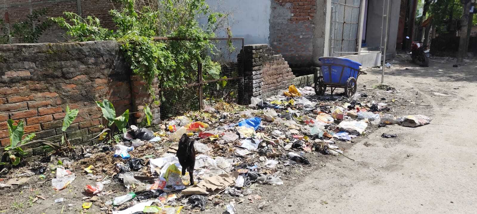 स्वच्छता अभियान को ठेंगा दिखा रहा है नपं के वार्ड नंबर आठ में जमा कूड़े का ढेर