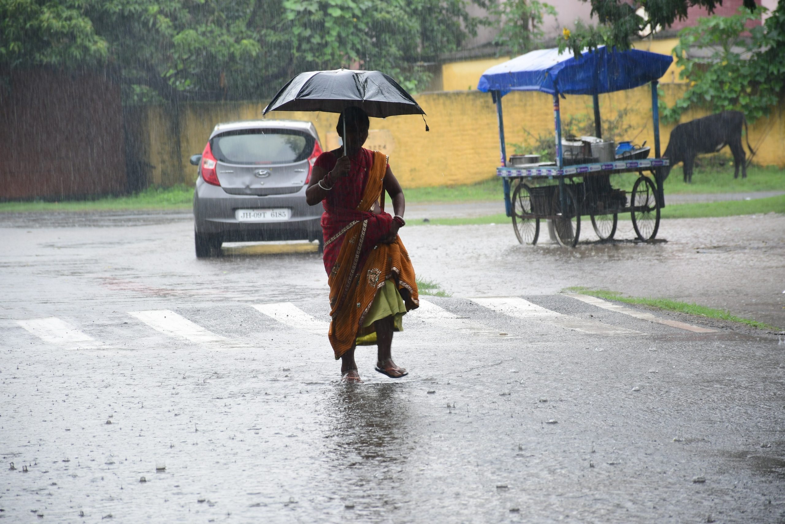 BOKARO NEWS: बोकारो में सुबह से ही छाये रहे बादल, रुक-रुक कर हुई बारिश