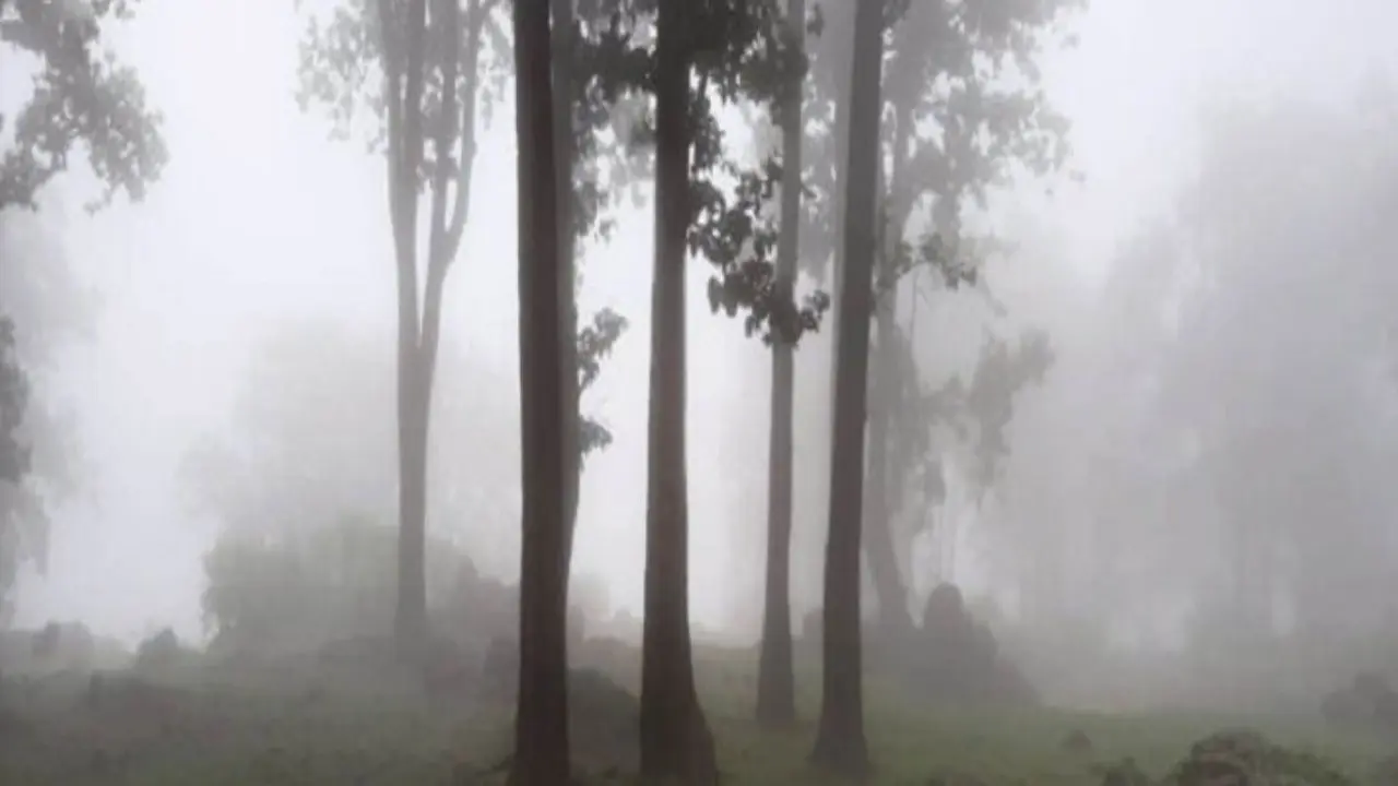Bihar Weather: बिहार में बदला मौसम का मिजाज, अब गुलाबी ठंड की ओर बढ़ीं रातें