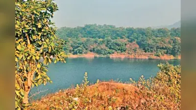 Ranchi News: केज कल्चर और बंद खदानों में मछली पालन कर लोग आर्थिक रुप से हो रहे सशक्त, जानिए क्या होता है केज कल्चर