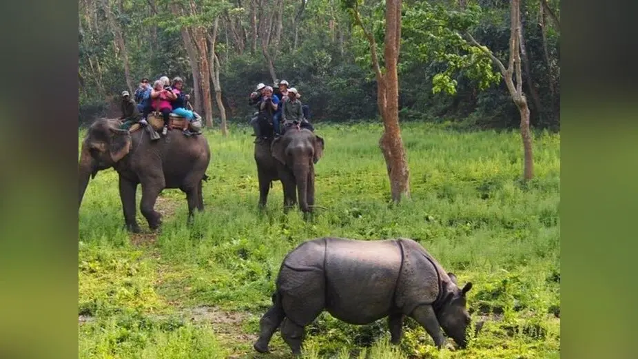 अंतरराष्ट्रीय स्तर का होगा दरभंगा एयरपोर्ट, विश्व का कोई भी बड़ा जहाज कर सकेगा लैंड