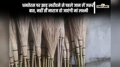 Dhanteras 2024: धनतेरस पर झाड़ू खरीदने से पहले जान लें जरूरी बात, इस दिन क्या न करें ये