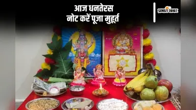 Dhanteras Broom Buying: धनतेरस के दिन क्यों खरीदना चाहिए झाड़ू? जानें कौन सा झाड़ू खरीदना शुभ है?